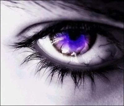 Et  tous ceux qui ne notent jamais mes quiz : Je ne noterai jamais les vtres ! (Na ! )