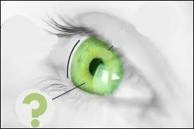 Comment se nomme la partie colore de l'oeil ?