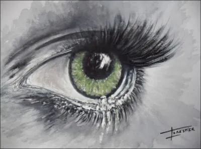 Qui chantait  Rien qu'une larme dans tes yeux  ?