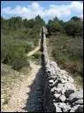 Le mur de la peste est un rempart construit pour prot�ger le Comtat Venaissin de la peste qui frappe la r�gion. Surnomm�  ligne de la mal�diction , il est constitu� de pierres s�ches et fait plus de 25 km dans ...