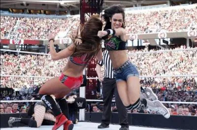 Quelle Tag Team s'impose entre les Bella Twins et Paige & AJ Lee ?
