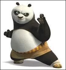 Qu'est-ce que pratique le panda dans le film amricain  Kung Fu panda  ?