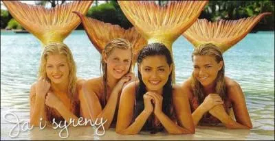 Combien y a-t-il de saisons ?