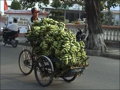 Rgle Numro 1, ne jamais changer le contrat. Le contrat tait : Transport de 3 personnes pour un poids total de 254 kg !