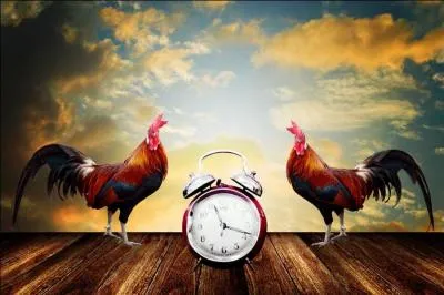 Le mot commence par : POT ....