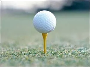 Le mot commence par : POT ....