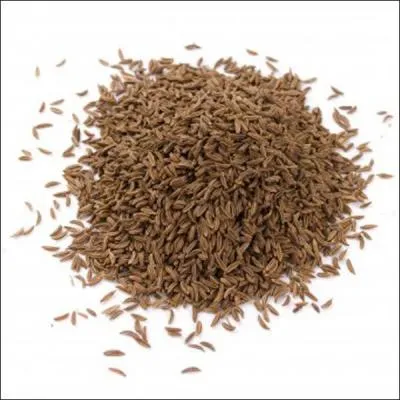 Appel galement  cumin des prs , je suis trs utilis dans les cuisines allemandes, alsaciennes, suisses et de l'Est, je suis :