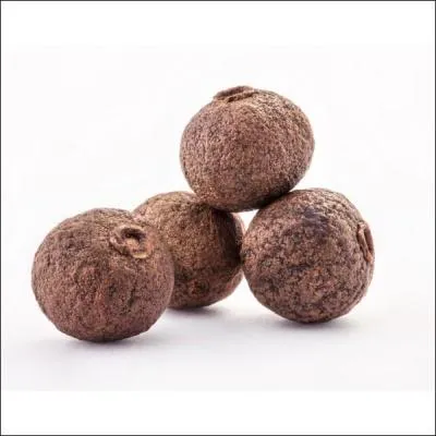 Originaire d'Amérique, je suis communément appelé le quatre-épices car je possède naturellement les arômes de poivre, de noix de muscade, de cannelle et de clou de girofle, je suis :