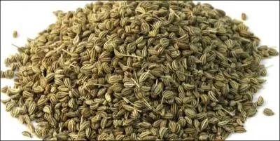 Originaire du sud de l'Inde, mon got est trs proche de celui du thym, je suis :