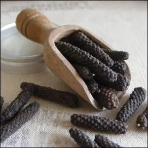 Popularisée par les Romains, je suis la première épice à atteindre l'Europe, je pousse sur les contreforts de l'Himalaya, je suis le :