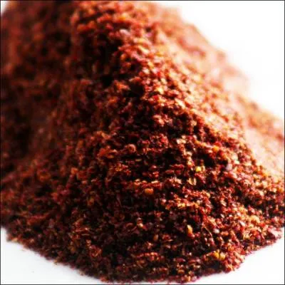 Trs apprcie comme pice dans les cuisines libanaises ou iraniennes pour mon ct vinaigr, certaines de mes espces, trs tanniques, sont utilises en tannerie, je suis :