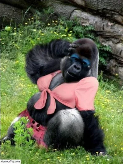 Quel académicien, prix Goncourt pour "Les bêtises", auteur du livre et du film "Caroline chérie" a écrit une "Histoire imprévue des dessous féminins" ?