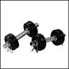 Quel est l'animal le plus fort ?