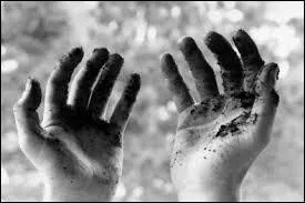 Dans la vie on ne fait pas ce que l'on veut mais on est responsable de ce que l'on est !