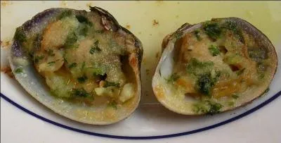 Que sont ces superbes coquillages ?