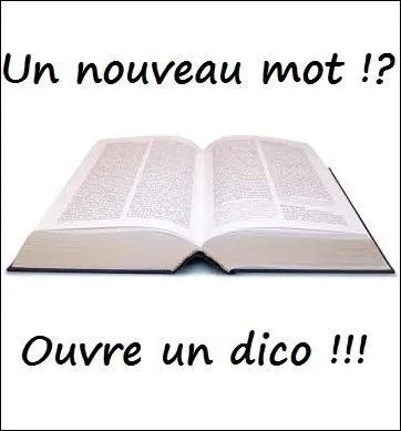 Si vous passez votre temps à corriger les fautes d'orthographe de votre environnement et que vous consultez votre dictionnaire de poche à la première hésitation étymologique, que peut-on dire de vous ?