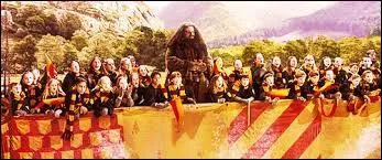 Le jour de la finale, les trois quarts de la foule encourageaient avec grande joie l'équipe de Gryffondor. Quant à ceux qui supportaient les Serpentard, ils étaient...