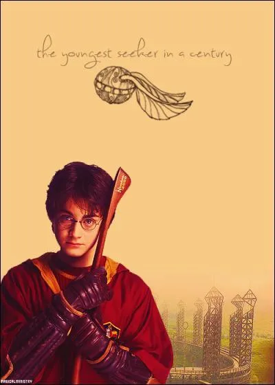 Enfin, la rencontre s'arrêta sous un tonnerre d'acclamations. Les Gryffondor venaient de remporter la coupe. Pourriez-vous rappeler le score final ?