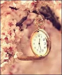 De combien de minutes nos amis disposaient-ils avant d'aller au prochain cours de divination ?