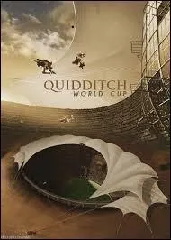 Quand aura lieu la finale de Quidditch ?