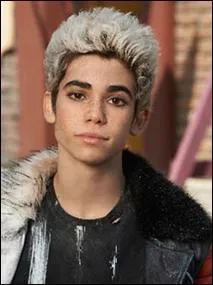 Quel est le prochain film de Cameron ?