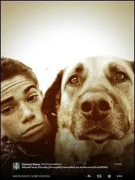 A qui est ce chien ?