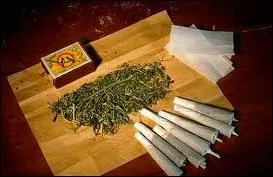 ''Je t'apprendrai à la Jamaïque 
La pêche de nuit au lamparo''

En quoi consiste la pêche au lamparo ?