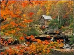''Et les planteurs de Virginie 
Qui ne savent pas qu'y a un hiver''

La Virginie se trouve...