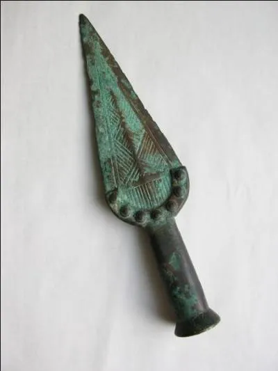 Finalement, l'haplogroupe masculin R1b (par le chromosome Y) finit par remplacer quasiment tous les autres : pour quelle raison ?