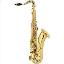 Quel est le nom de cet instrument ?