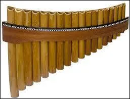 Quel est cet instrument ?