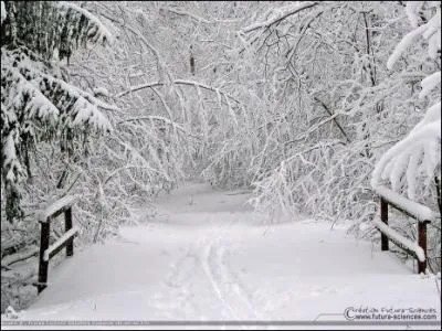 Au cur de l'hiver, l'étang est recouvert d'une épaisse...