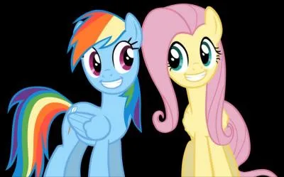 Dans quelle chanson Fluttershy et Rainbow Dash font-elles un duo ?