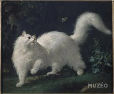 Qui a peint "Chat angora blanc guettant un papillon" ?