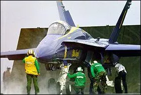 Que guide le chien jaune ?