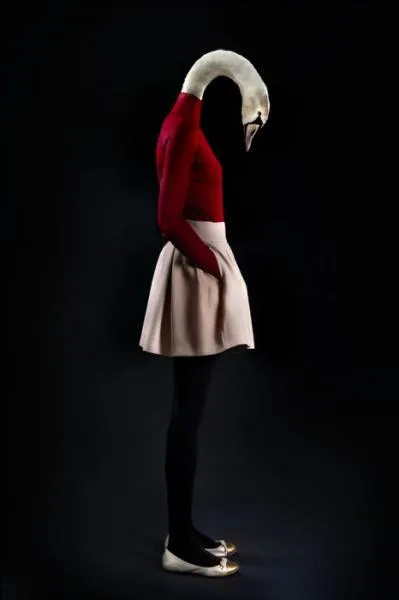 Quel grand compositeur associez-vous à la photo !