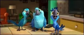 Trouvez le nom d'une ville, célébrée par un chanteur français disparu !