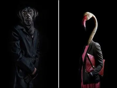 Trouvez, grâce à l'oiseau, le nom d'un chanteur, c'est une question d'homonymie !