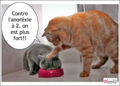 Au-dessous de quel seuil (en calories par jour) peut-on dire qu'un individu est sous-alimenté ?