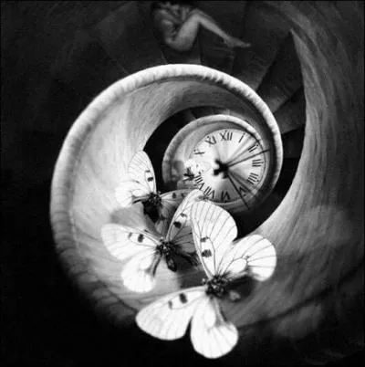 Dans quel département se déroulent "Les 24 Heures du Mans" ?