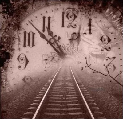 De qui sont les paroles "La nuit camoufle, pour quelques heures, la zone sale et les épaves et la laideur, j'ai pas choisi de naître ici..." ?