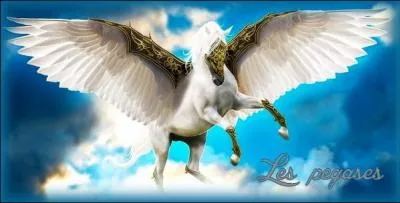 Quel est le seul mammifère capable de voler ?