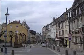 Nous déambulons dans les rues de Sarrebourg. Ville de Lorraine, sous-préfecture de son département, elle se situe ...