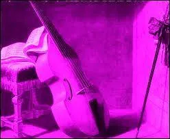 La musique tient une grande place dans la culture de la plan&egrave;te Pink. Tous les enfants jouent du violoncelle d&egrave;s leurs six ans. Quel instrument, anc&ecirc;tre du violoncelle, a disparu vers 1730 ?