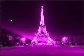 Vous pourrez aussi trouver une copie de la tour Eiffel, un monument fran&ccedil;ais. Quand cette tour a-t-elle fait partie des candidats pour l'Exposition universelle ?