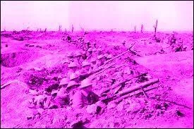 En 1914, les L&eacute;gusis furent affol&eacute;s par la violence du combat. Ils ont alors construit des tranch&eacute;es en boue pour d&eacute;go&ucirc;ter leurs enfants, en s'inspirant de la premi&egrave;re bataille de la Marne. Quand a-t-elle eu lieu sur la Terre ?