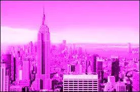 Les L&eacute;gusis sont tr&egrave;s impressionn&eacute;s par l'Empire State Building, un si beau gratte-ciel. En 1933, quel animal escaladait ce monument pour &eacute;chapper aux avions ?