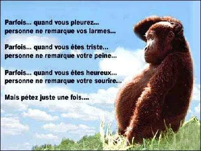 L'intelligence c'est comme les parachutes, quand on en n'en a pas, on s'écrase (Pierre Desproges) !