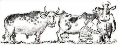 Mettez l'accent sur la réponse !