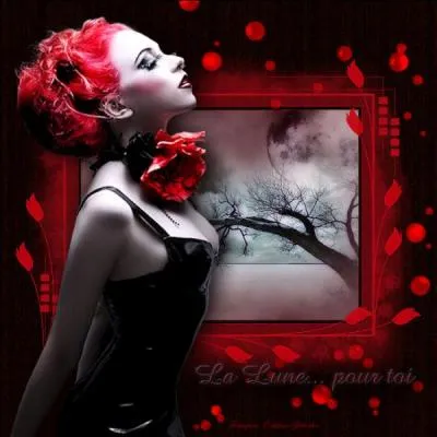 Qui a écrit « Le Rouge et le Noir » ?